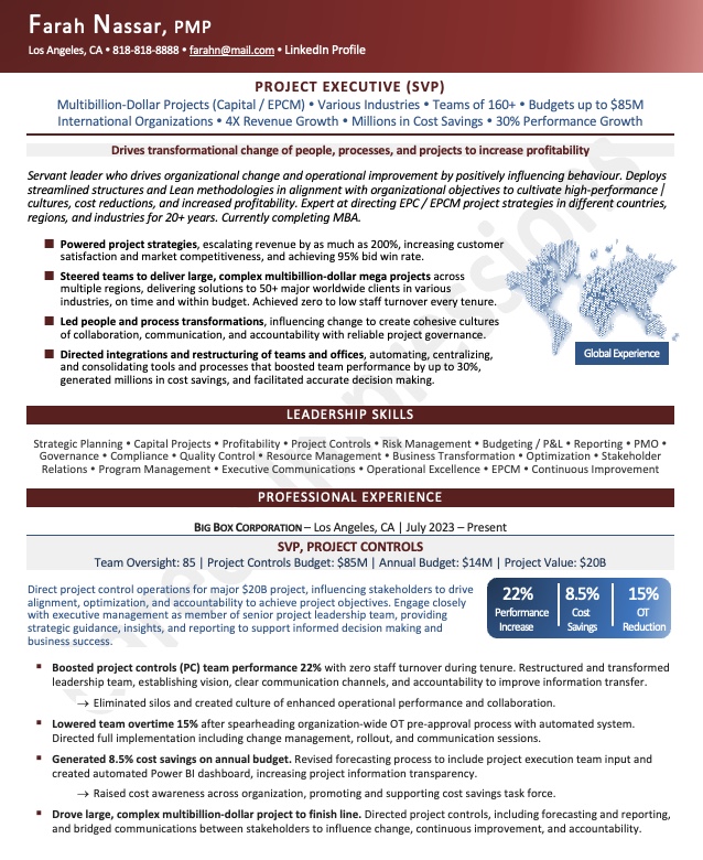 Project Executive Resume Sample